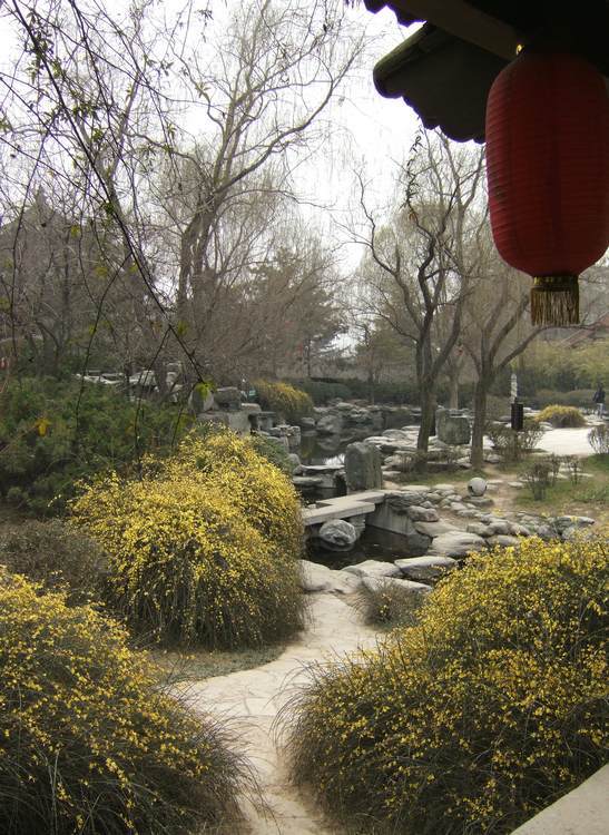 DSCF2425.JPG