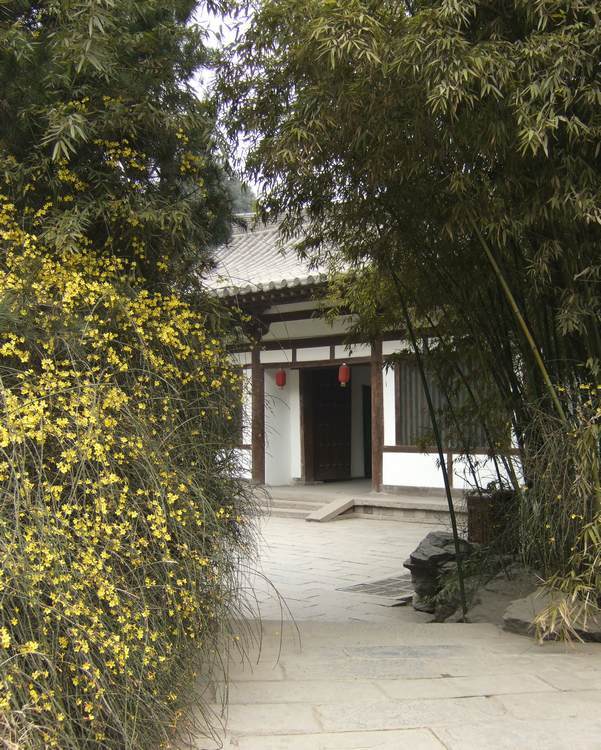 DSCF2426.JPG