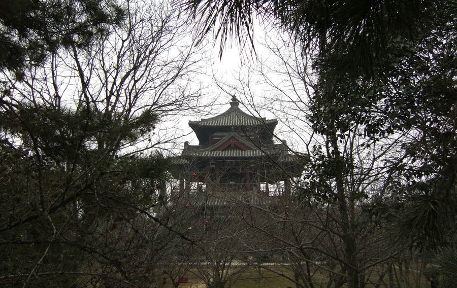 DSCF2438.JPG