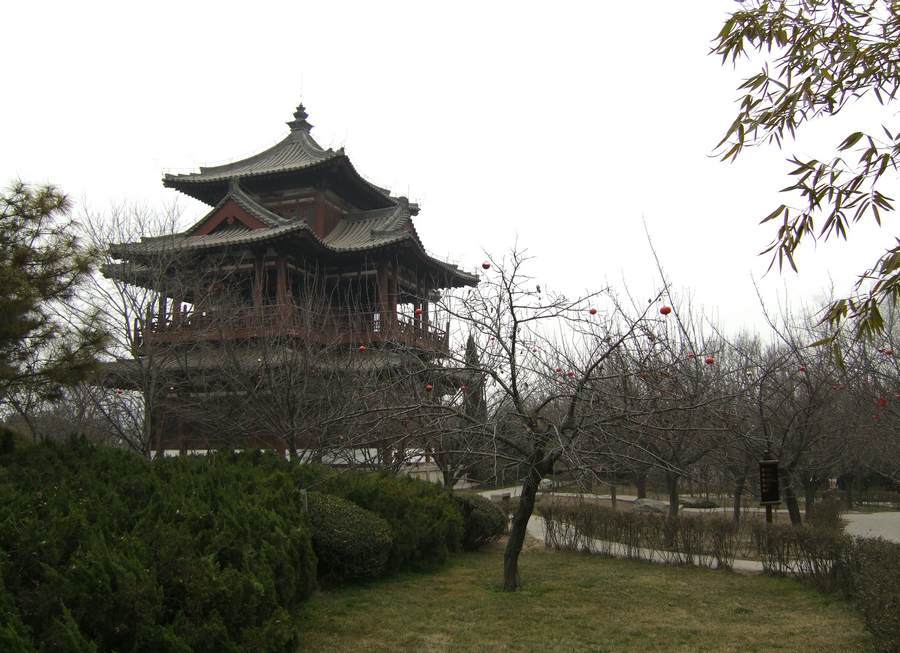 DSCF2439.JPG