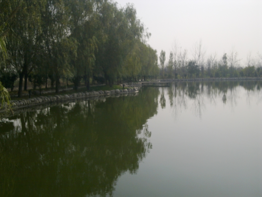 20111120578.jpg