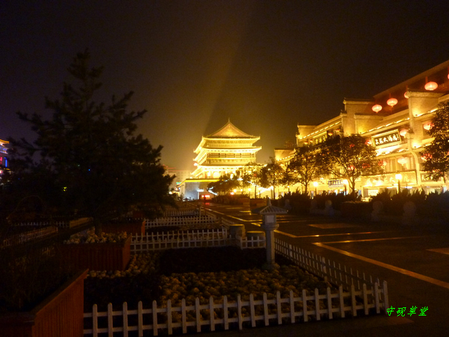 P1030081.jpg