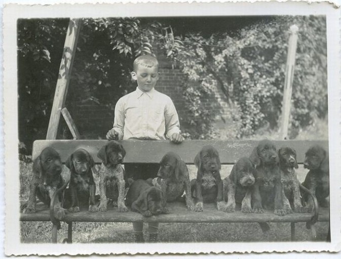 People-And-Their-Dogs2-673x512.jpg