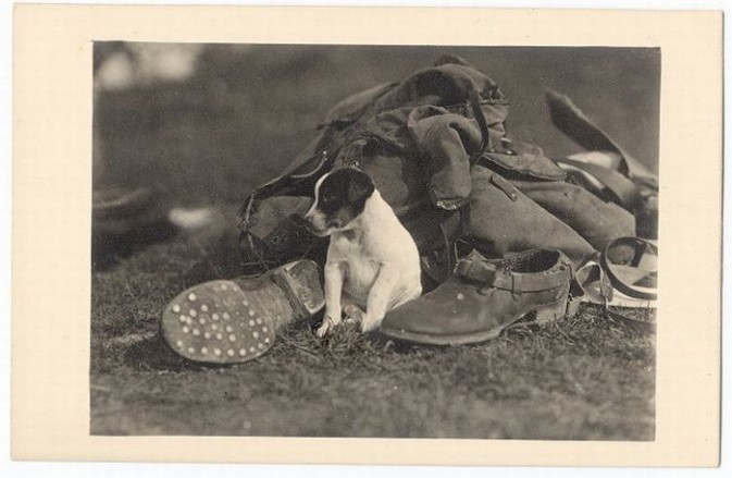People-And-Their-Dogs8-673x439.jpg