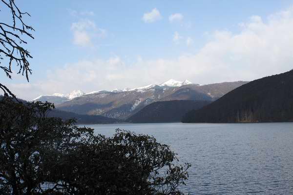 IMG_7724.jpg