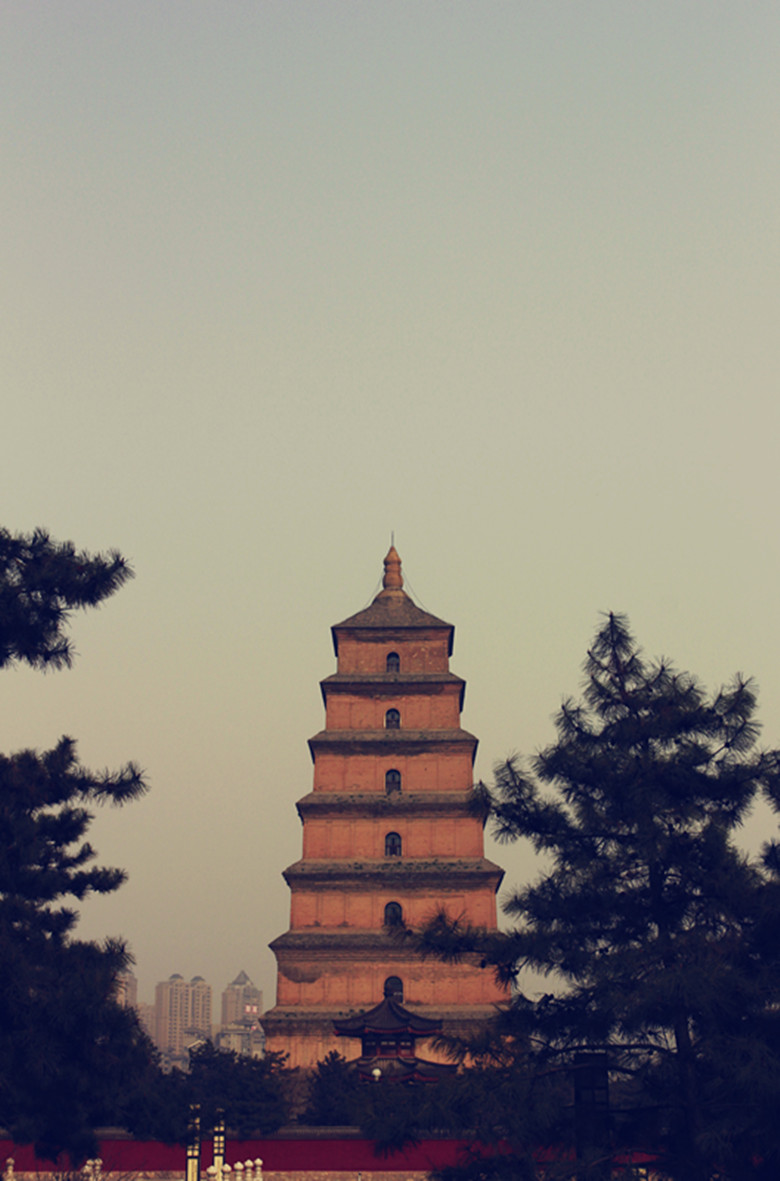 _MG_4037ps滤镜_副本.jpg