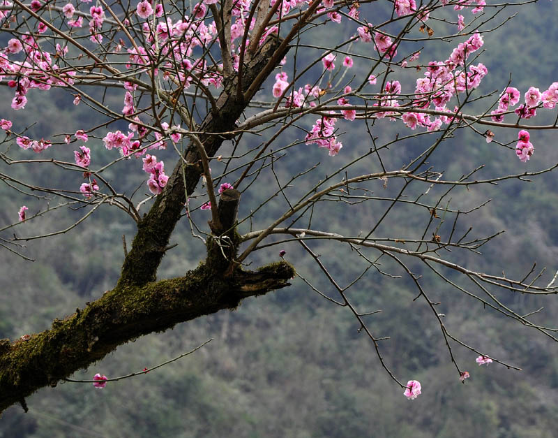 _DSC0101 复制.jpg