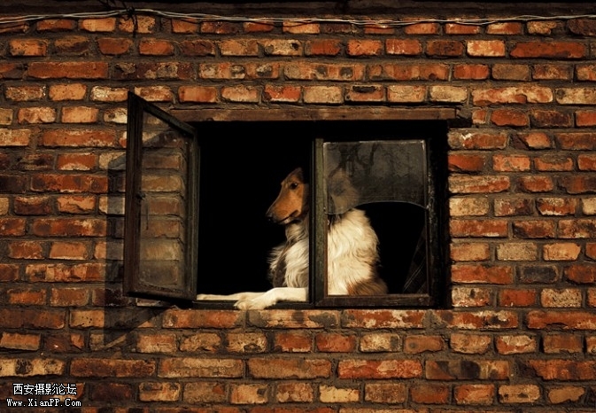 cage7-673x466.jpg