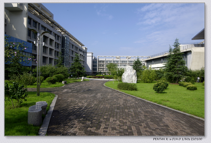 _IGP7157.jpg