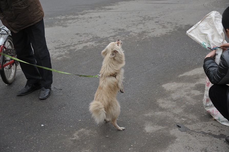 DSC_2343.JPG