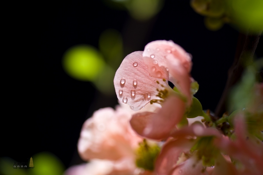 DSC_80861.jpg
