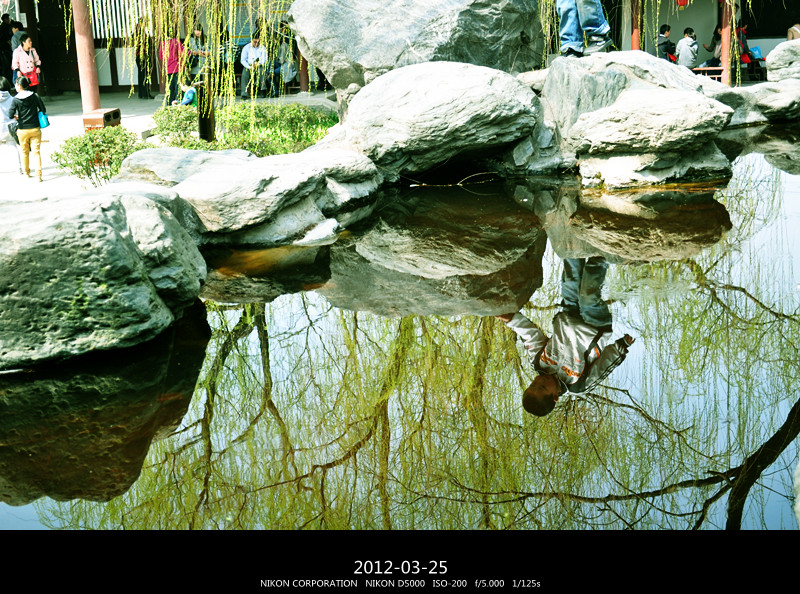 DSC_0095_副本.jpg