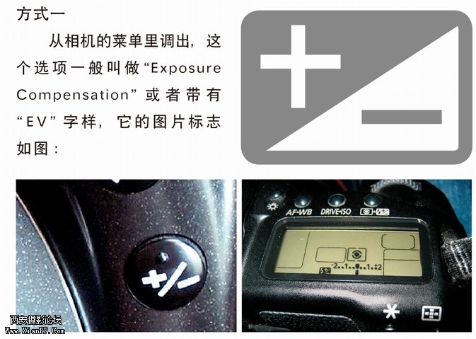 zq-1.jpg
