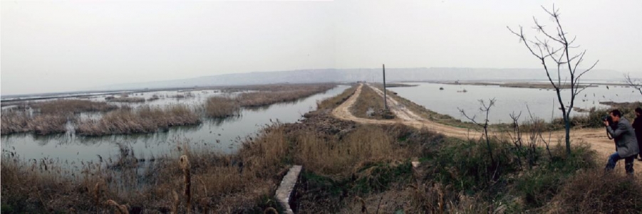 黄河湿地1.jpg