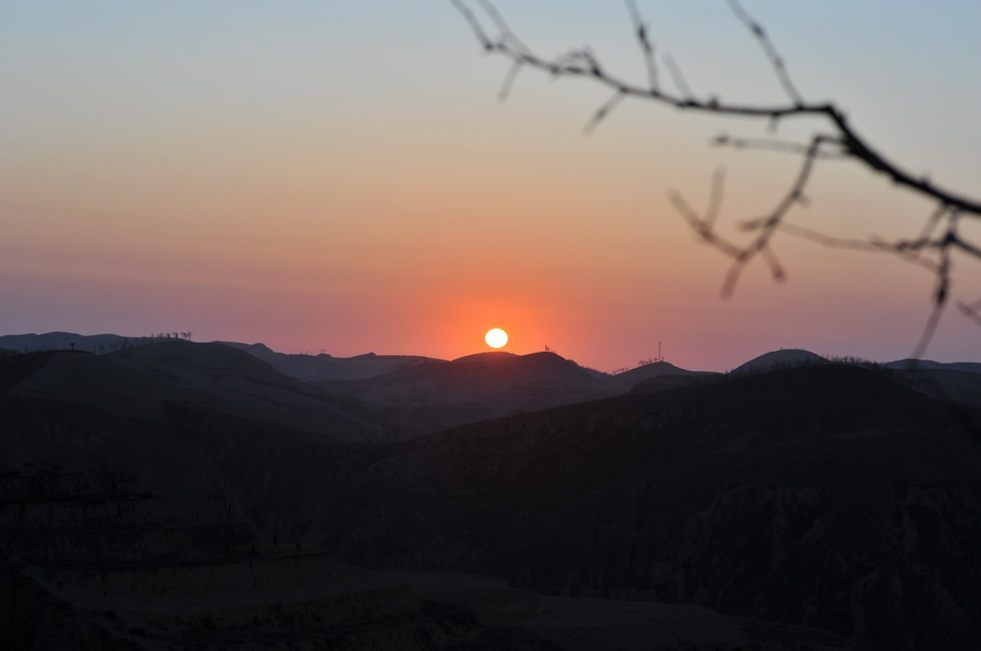 DSC_2874.jpg
