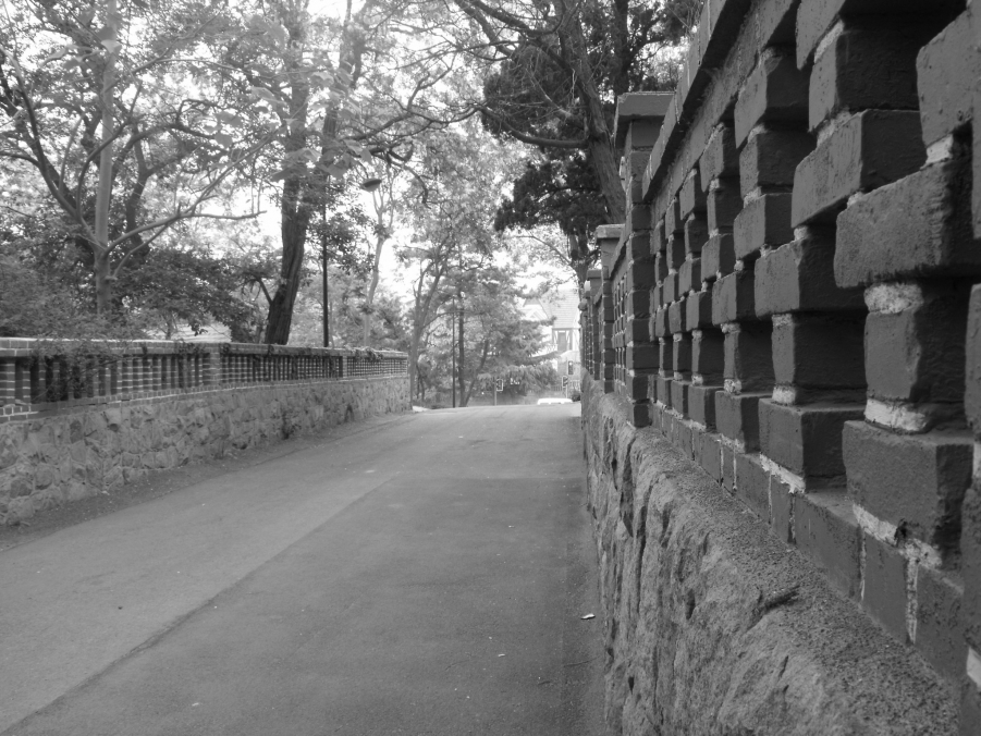 DSCF2859.JPG