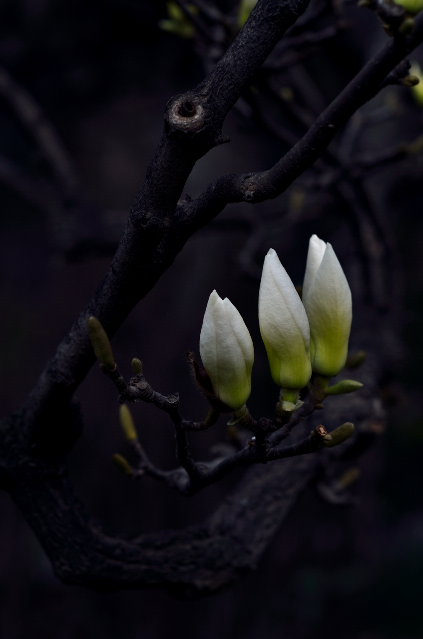 20120329 138.jpg