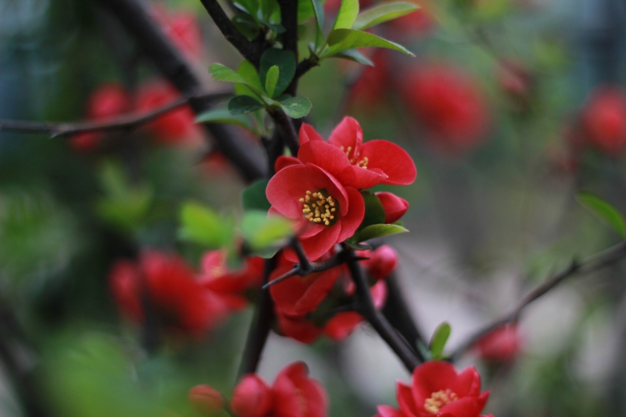 调整大小 IMG_5716.JPG