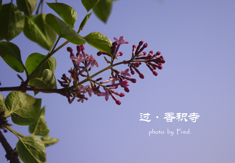 IMGP9467.jpg