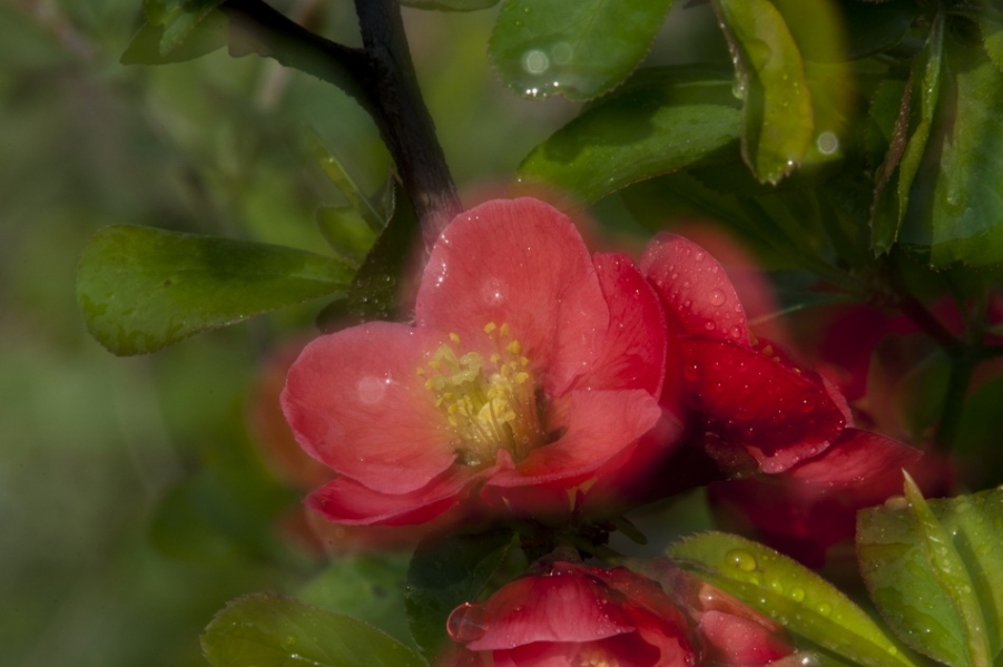 DSC_4002_调整大小.jpg