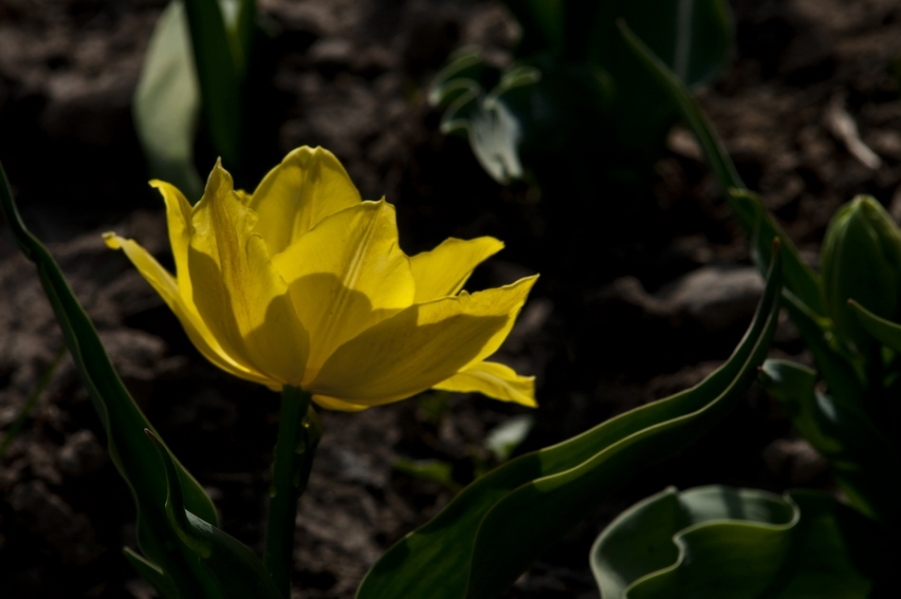 DSC_4022_调整大小.jpg