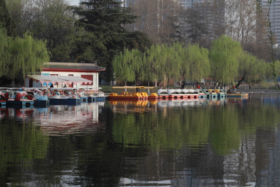 调整大小 IMG_5985.JPG