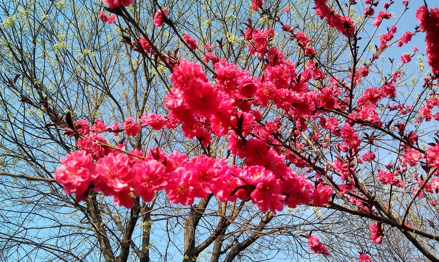 IMAG0168.jpg