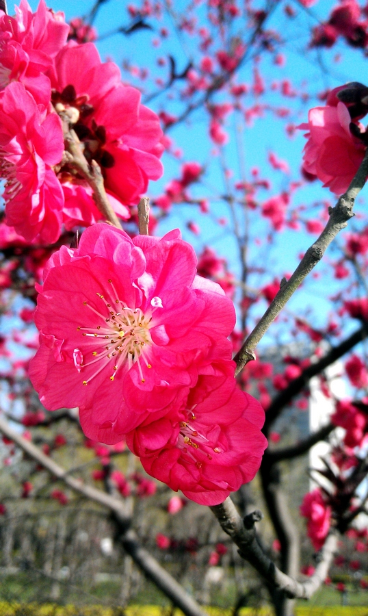 IMAG0155.jpg