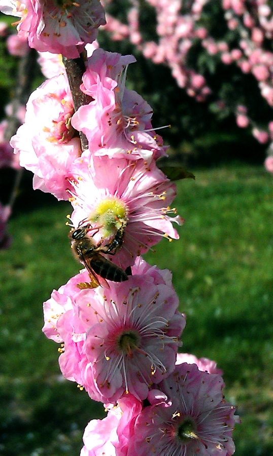 IMAG0162.jpg