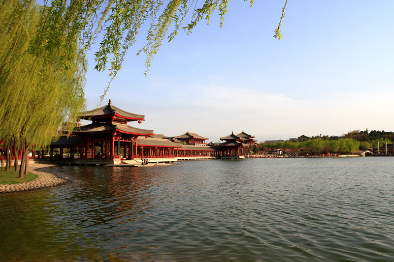 春光明媚芙蓉园 043.jpg