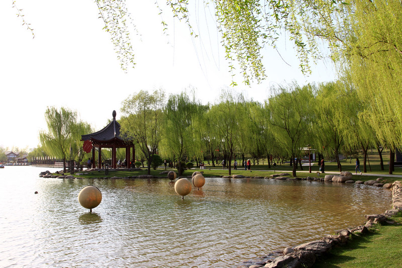 春光明媚芙蓉园 054.jpg