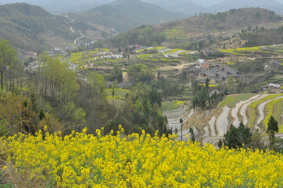 DSC_4185.jpg