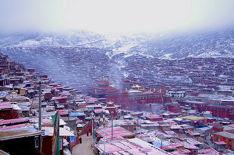 IMGP3081_副本.jpg