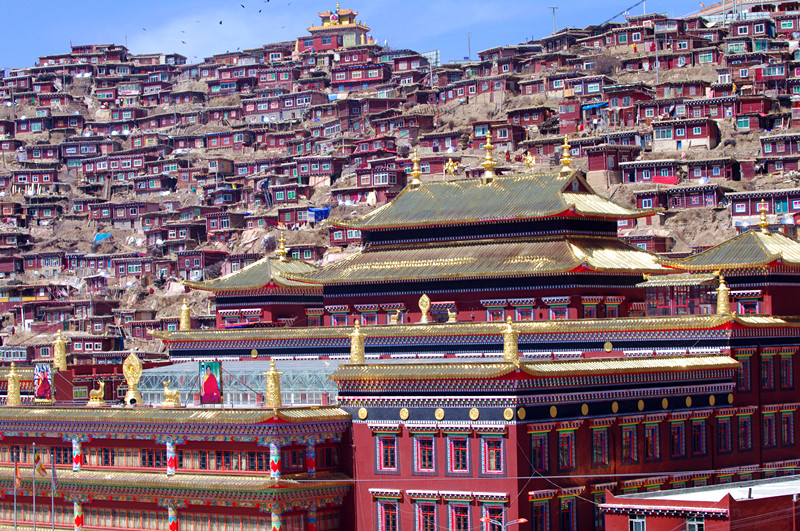 IMGP3253_副本.jpg