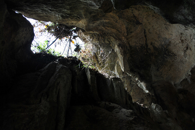 DSC_0091_副本.jpg