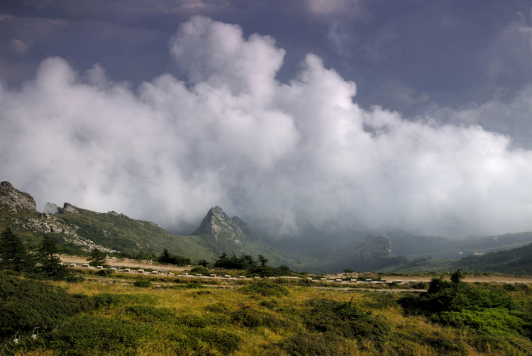 _DSC0050改.jpg