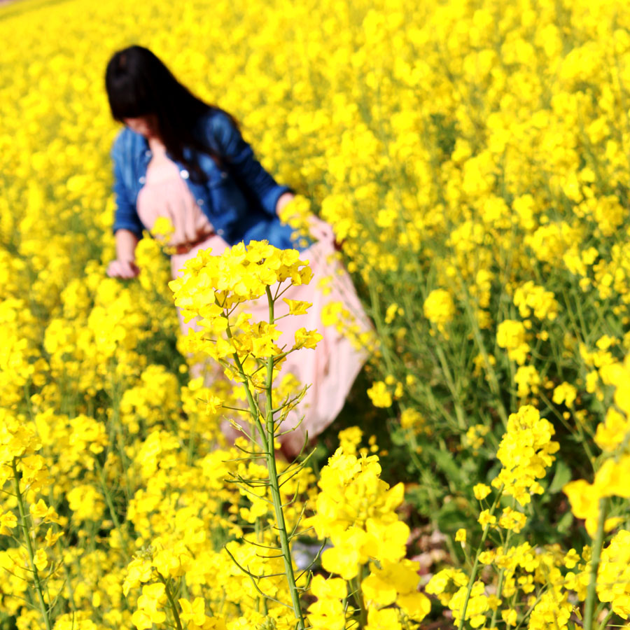 IMG_9508小.jpg