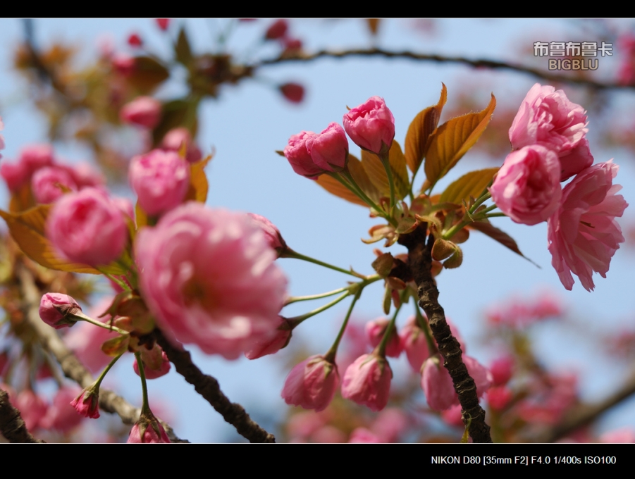 DSC_5686.jpg