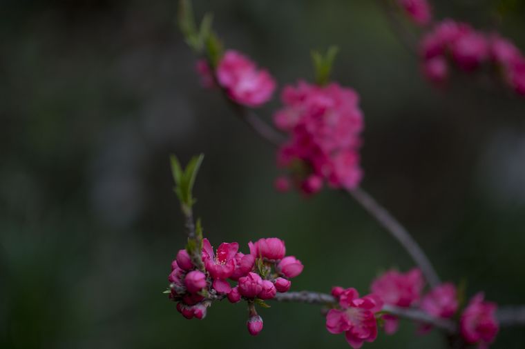 DSC_4060.jpg