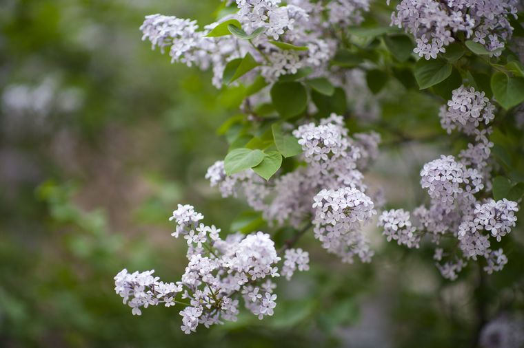 DSC_4101.jpg