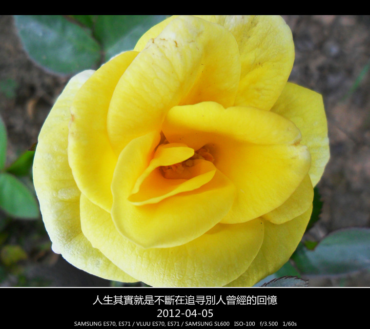 SAM_3155_副本.jpg