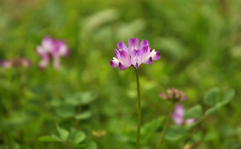 _DSC7623 复制.jpg