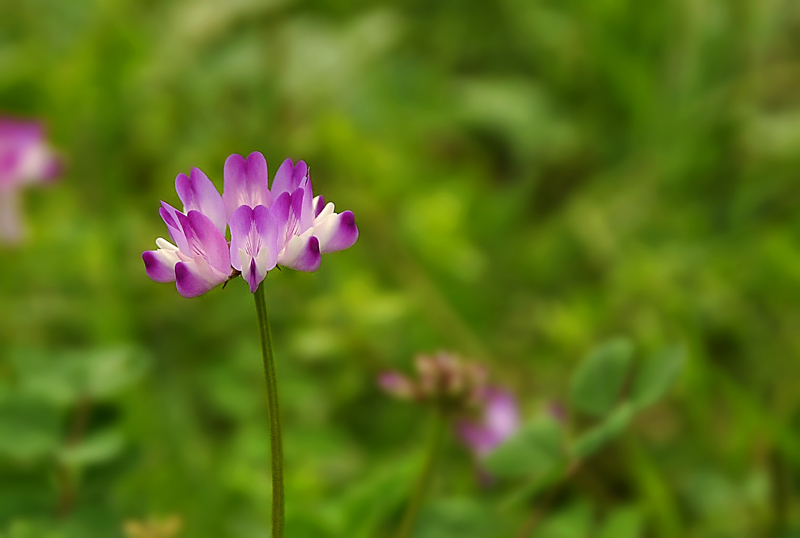 _DSC7625 复制.jpg