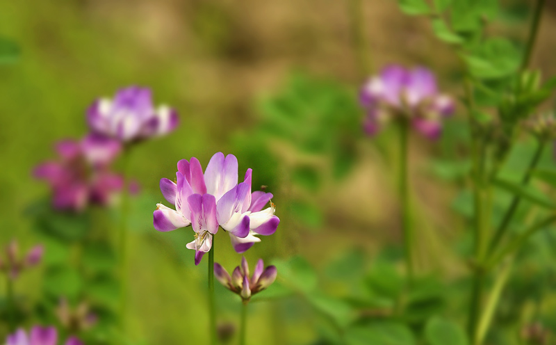 _DSC7622 复制.jpg