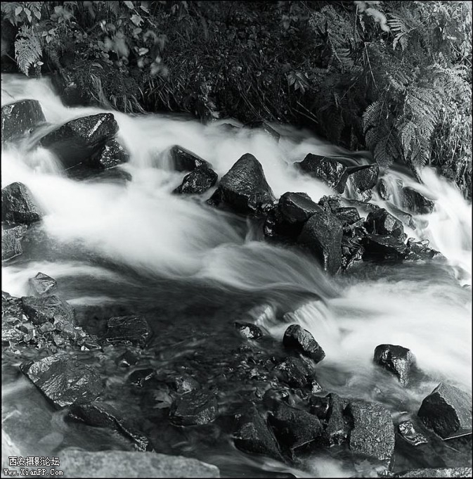 heibaishi19-673x681.jpg