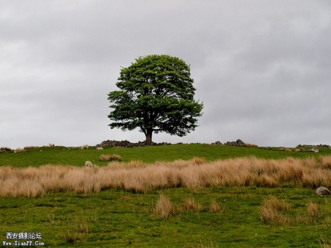 p092-4-673x504.jpg