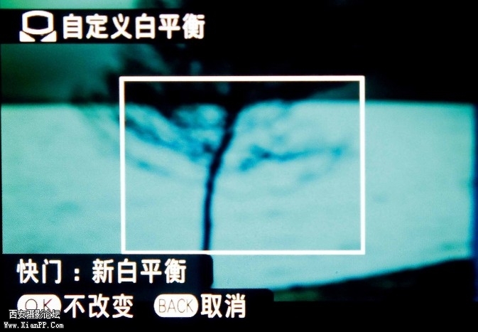 p093-6-673x467.jpg