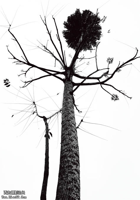 p097-4.jpg