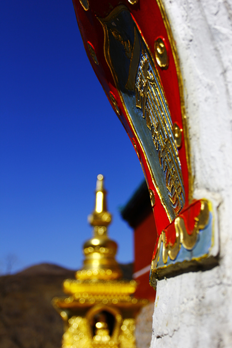 _MG_4214ps_副本.jpg