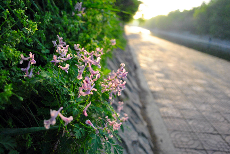 DSC_0021_副本.jpg